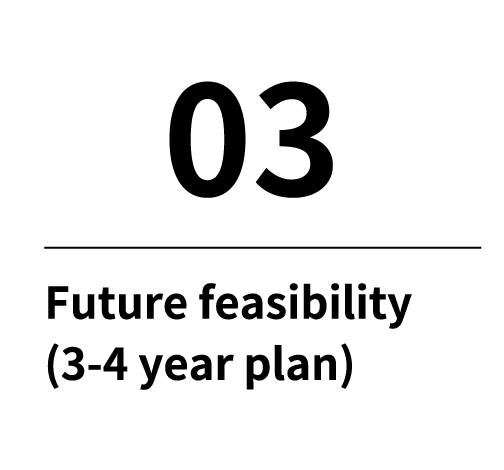 03 Future feasibility (3-4 year plan)
