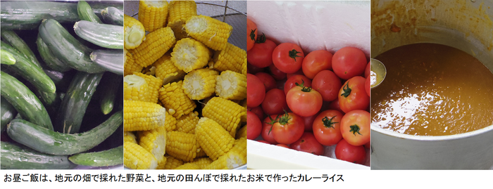 taue18