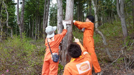 Conservation activities at BANDAI NAMCO Forest in Shiga Kogen