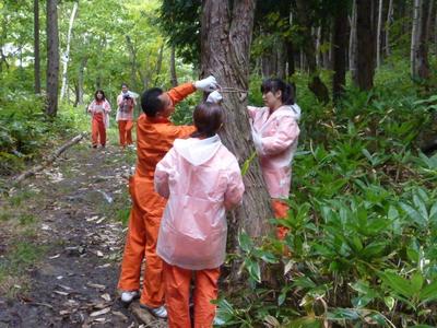 「バンダイナムコの森」で保全活動と地域交流イベントを実施しました。