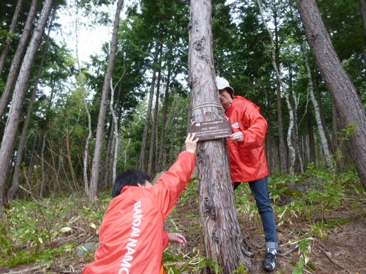 Conservation activities at BANDAI NAMCO Forest in Shiga Kogen