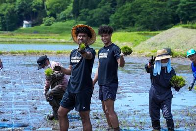島根スサノオマジック「田植え体験イベント」実施！