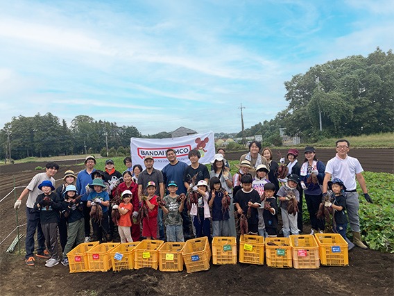 さつまいもと落花生の収穫体験1